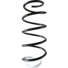 Spidan | Fahrwerksfeder | 87397