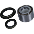 33-1181 Radlagersatz