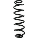 Spidan | Fahrwerksfeder | 87967