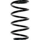 Spidan | Fahrwerksfeder | 49606
