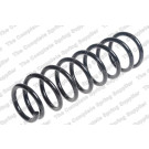 4259247 Fahrwerksfeder