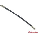 Brembo | Bremsschlauch | T 68 057