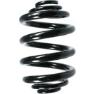 Spidan | Fahrwerksfeder | 49764