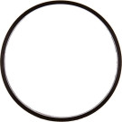 A2C59516946 Dichtung A2C59516946 Dichtung