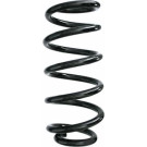 Spidan | Fahrwerksfeder | 87283