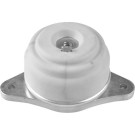 TED25563 Lagerung, Motor