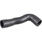 2401065 Ladeluftschlauch