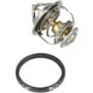 NRF | Thermostat, Kühlmittel | 725026