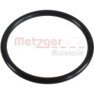 Metzger | Dichtring, Lader | 2430062
