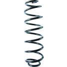 Spidan | Fahrwerksfeder | 88412