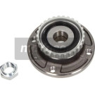 33-0295 Radlagersatz