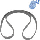 Blue Print | Zahnriemen | ADC47531