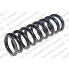 4027668 Fahrwerksfeder