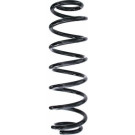Spidan | Fahrwerksfeder | 87638