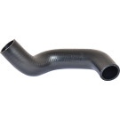 2420158 Kühlerschlauch