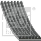 FEBI BILSTEIN 184864 Keilrippenriemen