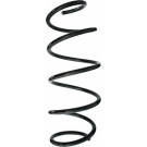 Spidan | Fahrwerksfeder | 87317