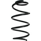Spidan | Fahrwerksfeder | 87109