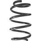 Spidan | Fahrwerksfeder | 87938