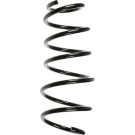 Spidan | Fahrwerksfeder | 56036