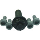 80001265 Schraubensatz, Riemenscheibe-Kurbelwelle