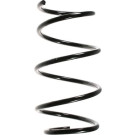 Spidan | Fahrwerksfeder | 49794