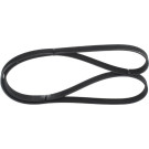 1 987 946 235 Keilrippenriemen