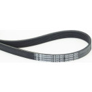 ContiTech | Keilrippenriemen | 6PK967 EXTRA