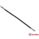 Brembo | Bremsschlauch | T 50 002