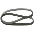 1 987 946 248 Keilrippenriemen