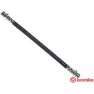 Brembo | Bremsschlauch | T 83 129 Brembo | Bremsschlauch | T 83 129