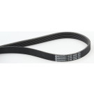 CONTITECH 6PK1548 Keilrippenriemen 1548mm, 6 Rippen