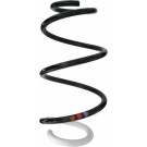 Spidan | Fahrwerksfeder | 87875