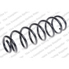 4272956 Fahrwerksfeder