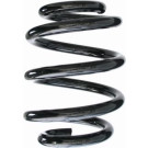 Spidan | Fahrwerksfeder | 87440