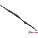 Brembo | Bremsschlauch | T 24 150