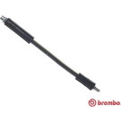 Brembo | Bremsschlauch | T 06 049