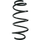 Spidan | Fahrwerksfeder | 85904