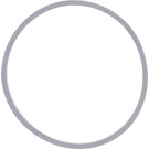 A2C59516950 Dichtung A2C59516950 Dichtung