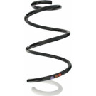Spidan | Fahrwerksfeder | 87872