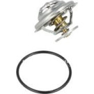 NRF | Thermostat, Kühlmittel | 725096