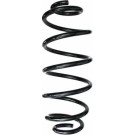 Spidan | Fahrwerksfeder | 87608