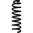 Spidan 2 x SPIDAN Fahrwerksfeder 88038