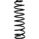 Spidan | Fahrwerksfeder | 48339