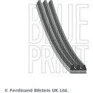 Blue Print | Keilrippenriemen | AD03R872