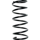 Spidan | Fahrwerksfeder | 55503