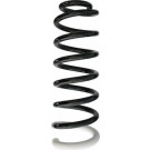 Spidan | Fahrwerksfeder | 87387