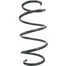 Spidan | Fahrwerksfeder | 87619