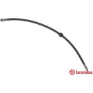 Brembo | Bremsschlauch | T 59 078