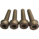 MS17 Schraubensatz, Riemenscheibe-Kurbelwelle